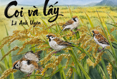 Coi và lấy